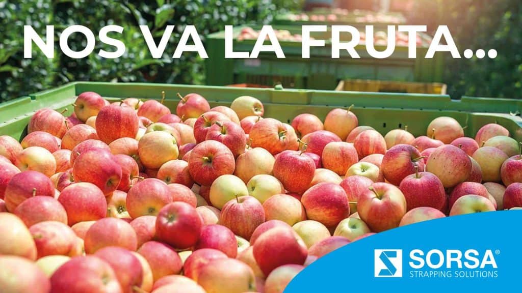 SORSA optimiza y asegura la cadena de valor del sector hortofrutícola